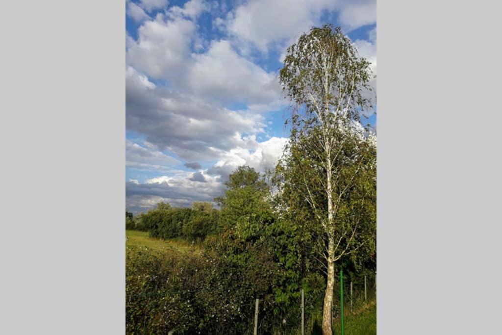 Entspannen Im Dorf Am See Zahren Εξωτερικό φωτογραφία