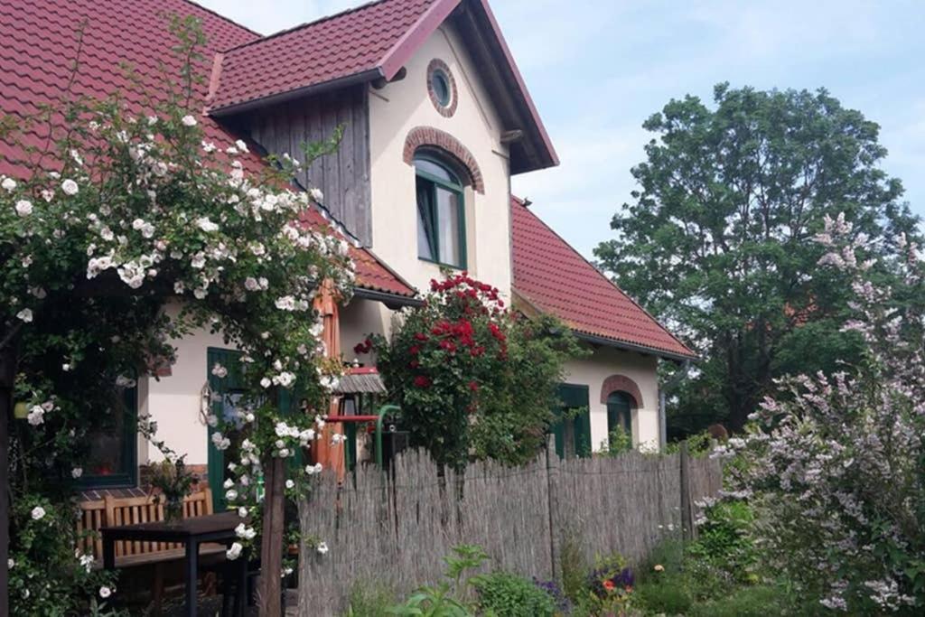 Entspannen Im Dorf Am See Zahren Εξωτερικό φωτογραφία